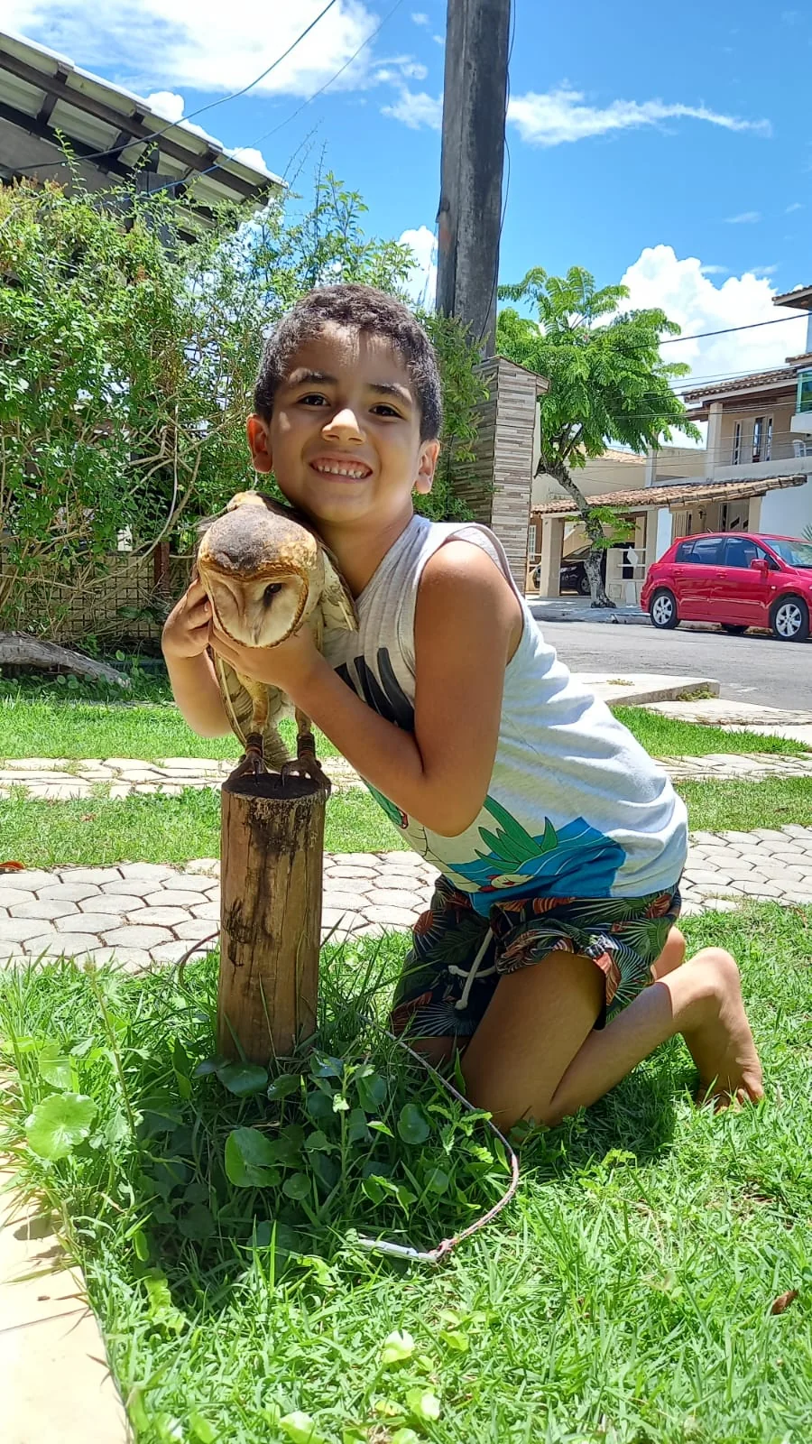 Criança em contato orientado com uma coruja suindara
