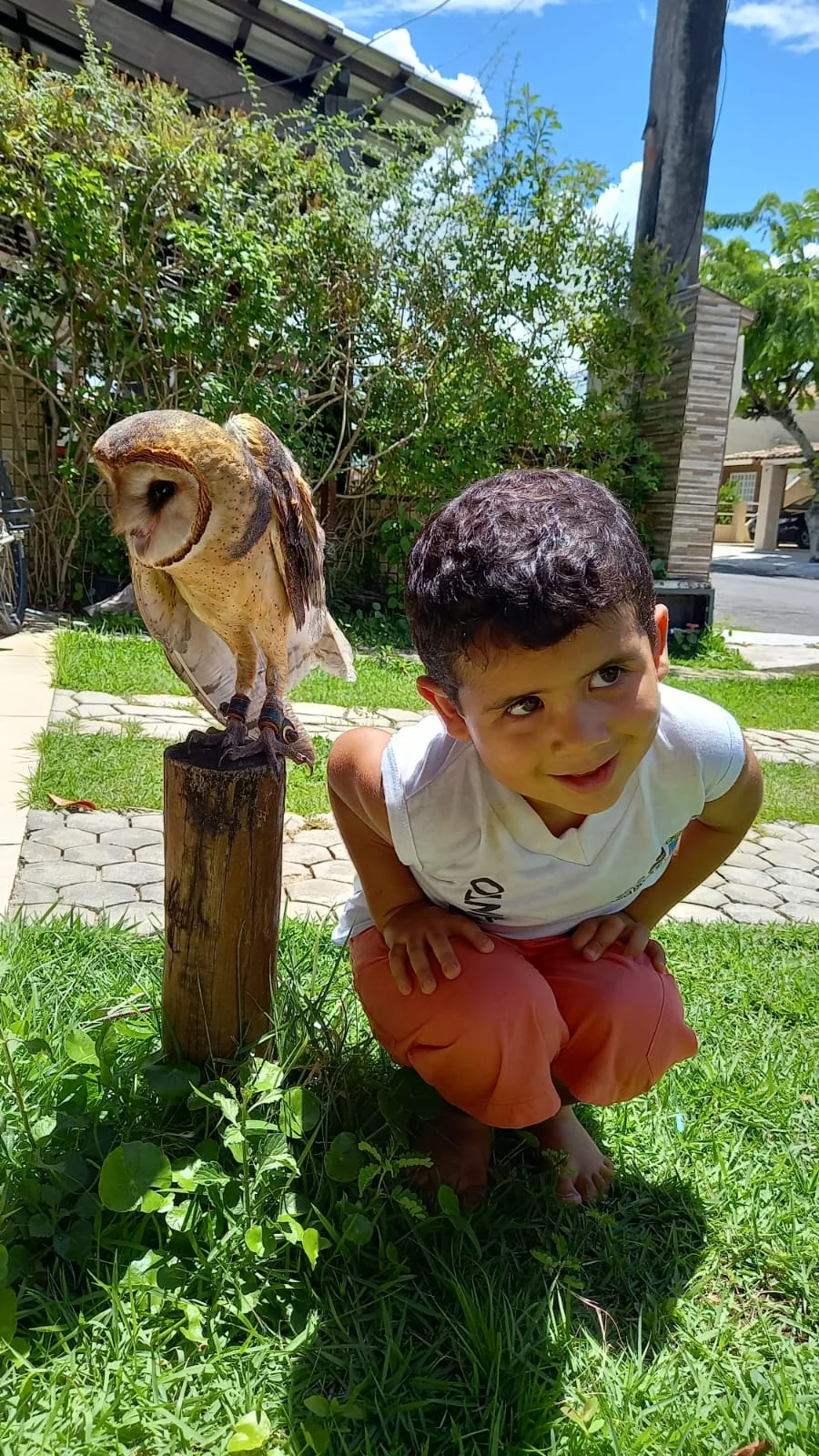 Criança em interação orientada com uma coruja suindara
