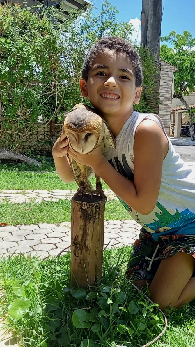 Criança em contato orientado com uma coruja suindara